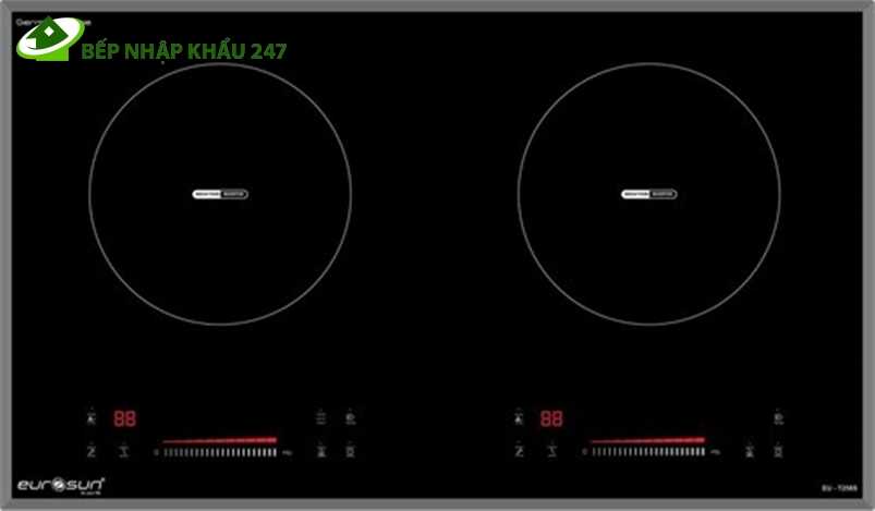 Bếp từ Eurosun EU-T286