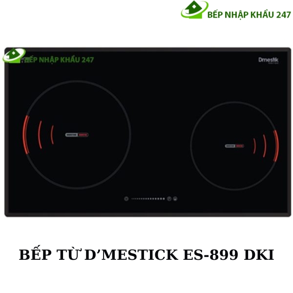 Bếp từ D'mestik ES899 DKI